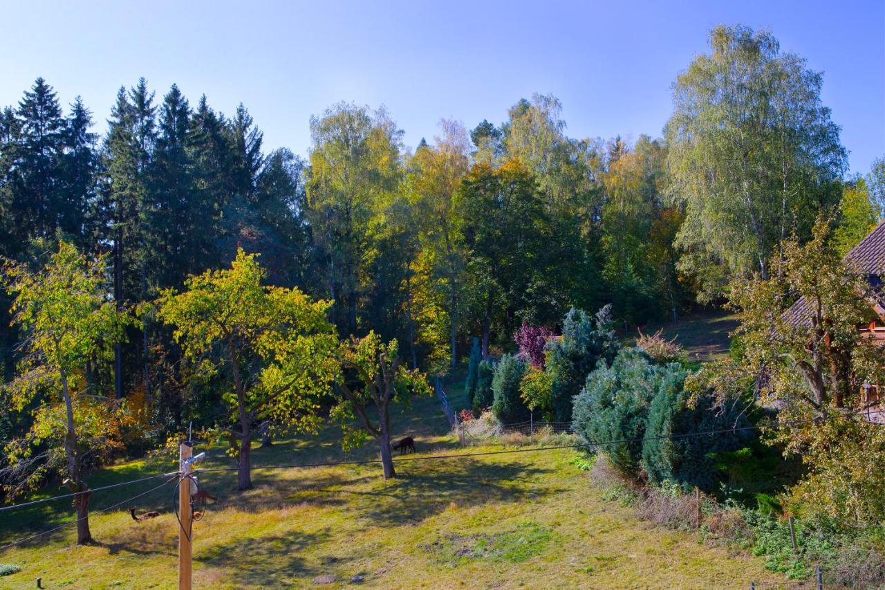 Pension Haus Fuerstenberg Beierfeld 外观 照片